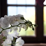 Castel Rundegg (adults Only)