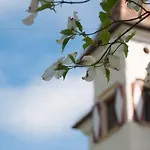 Castel Rundegg (adults Only) 4*