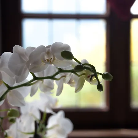 Castel Rundegg (adults Only)