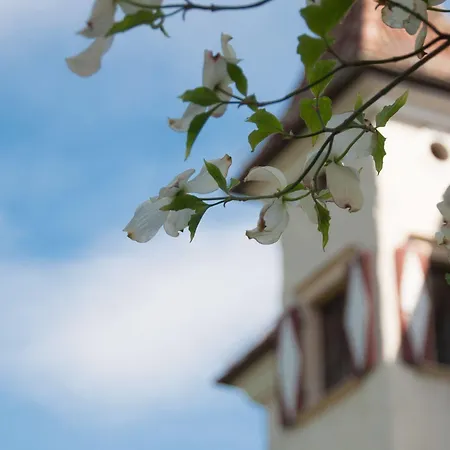 Hotel Castel Rundegg (adults Only) Merano