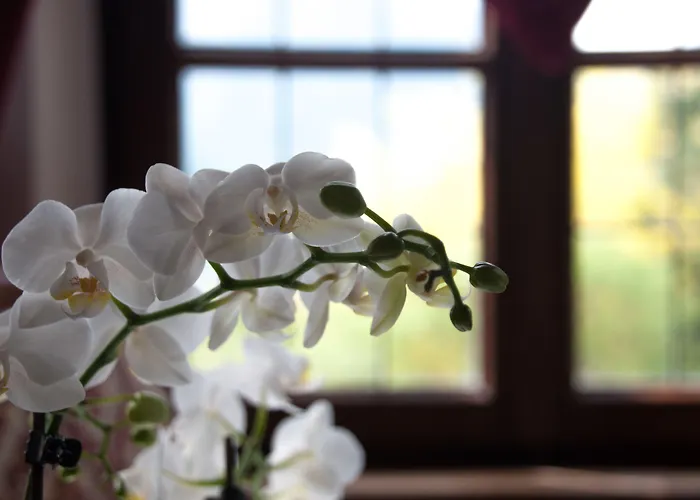 Castel Rundegg (adults Only)